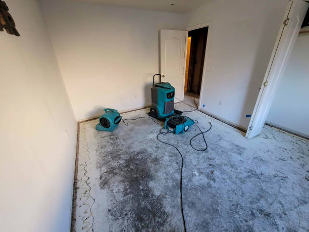 Best Flood damage cleanup  in Coppell, TX